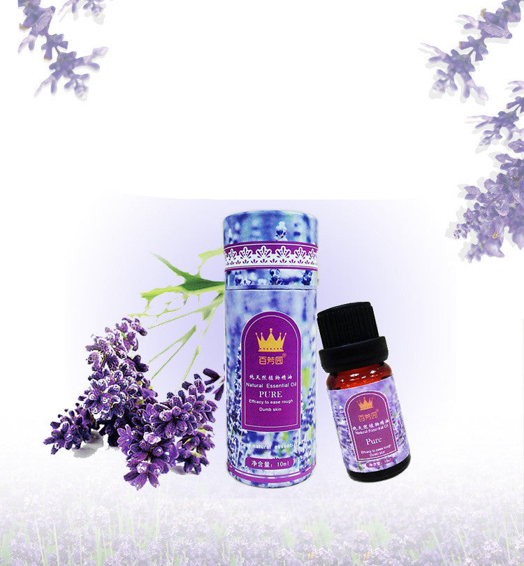 Lavender Essential Oil 10 ml | Diffuser & Aromatherapy