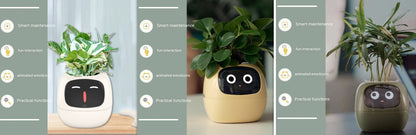 Smart Planter with Sensors | Dealtide smart planter