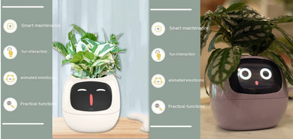 Smart Planter with Sensors | Dealtide smart planter
