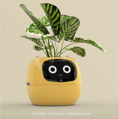 Smart Planter with Sensors | Dealtide smart planter