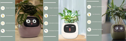 Smart Planter with Sensors | Dealtide smart planter