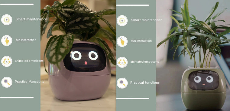 Smart Planter with Sensors | Dealtide smart planter