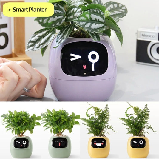 Smart Planter with Sensors | Dealtide smart planter