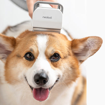 Pet Hair Clipper | Dealtide home grooming