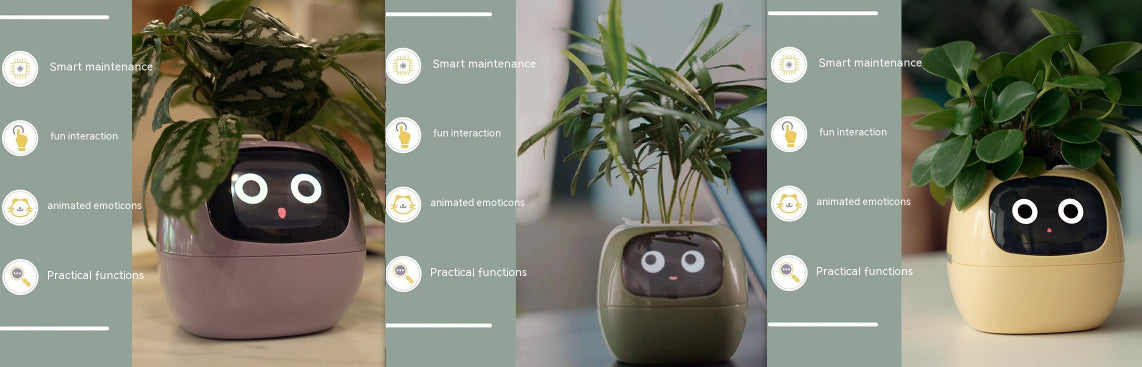 Smart Planter with Sensors | Dealtide smart planter