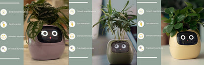 Smart Planter with Sensors | Dealtide smart planter