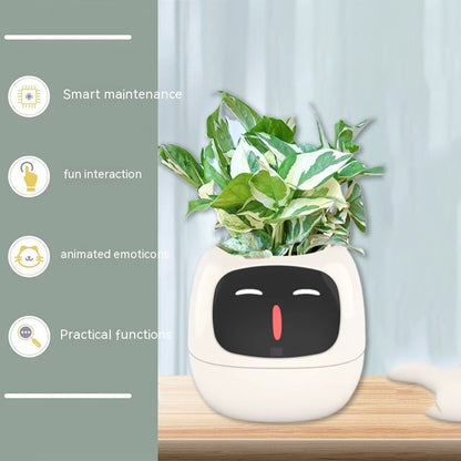 Smart Planter with Sensors | Dealtide smart planter