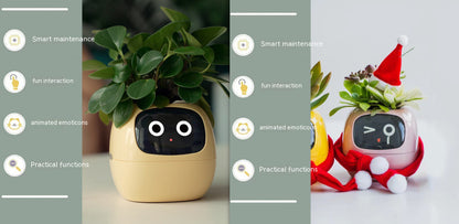 Smart Planter with Sensors | Dealtide smart planter